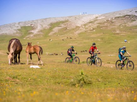 Ambasciatori Place Hotel