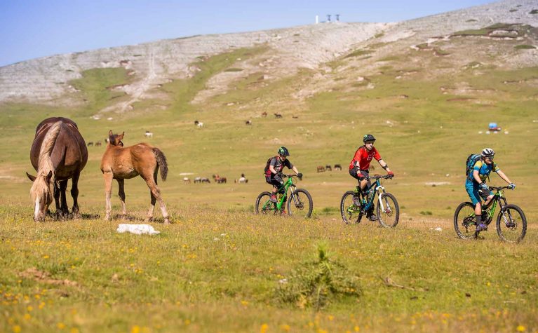Ambasciatori Place Hotel