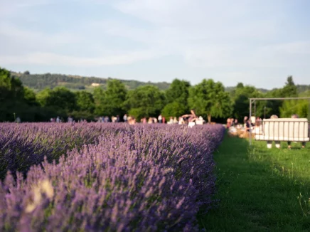 Agriturismo Il Molinello