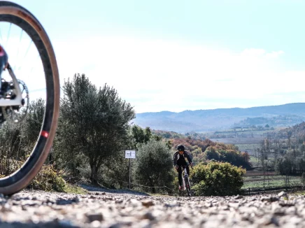 Agriturismo Il Molinello