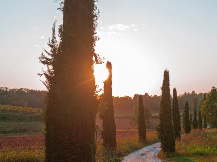 Relais Corte Cavalli