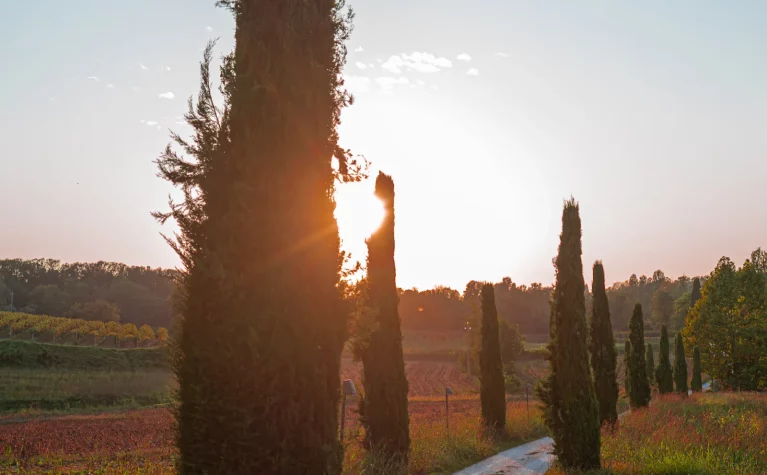 Relais Corte Cavalli