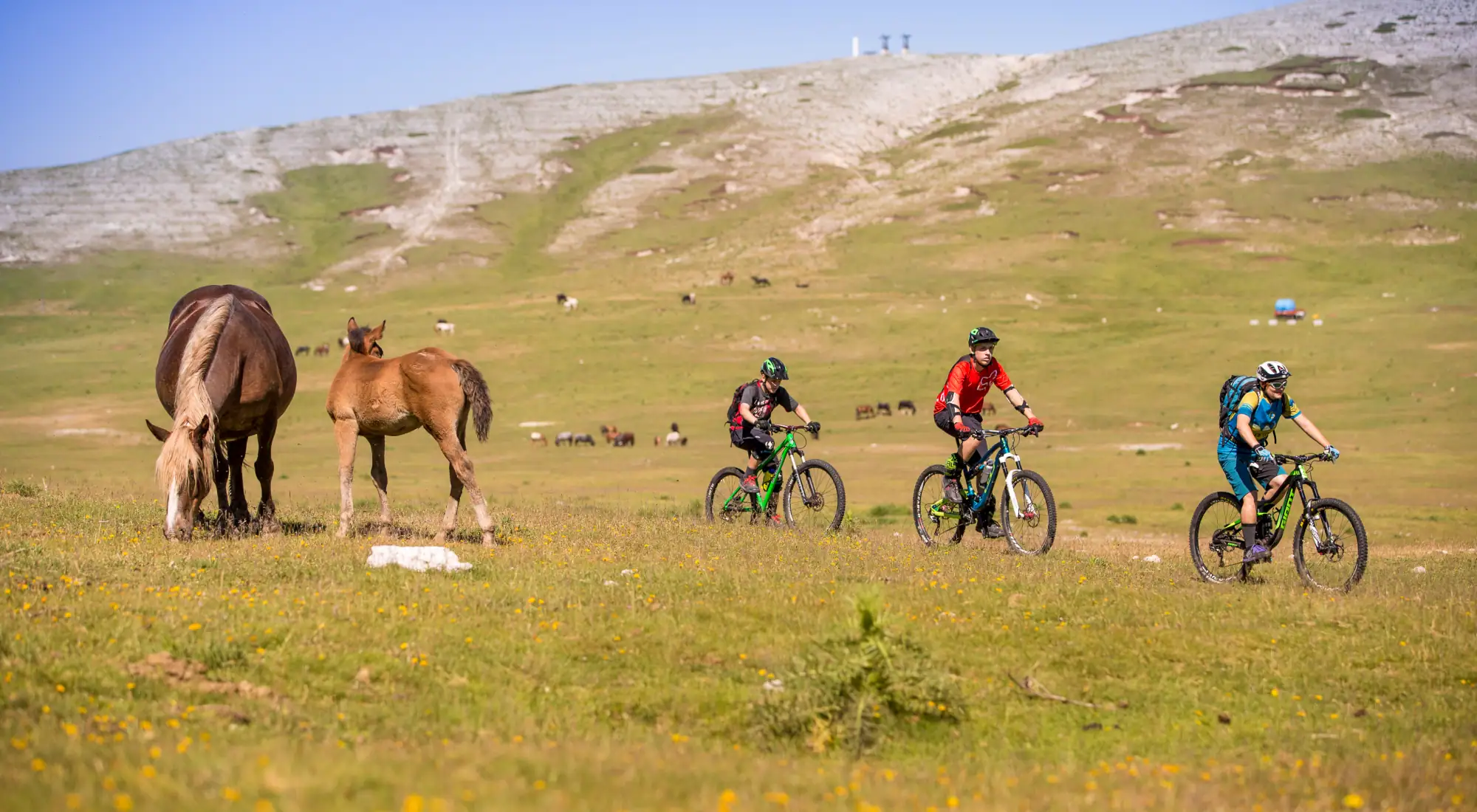 <span>GENUSSRADLER</span> und E-Bike