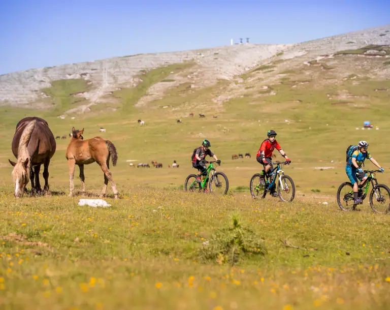 <span>GENUSSRADLER</span> und E-Bike