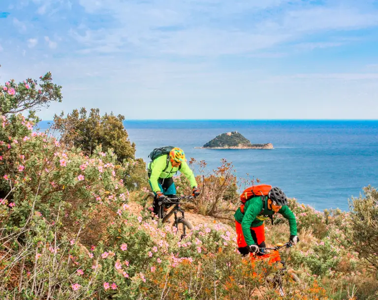 <span>MTB & E-MTB</span> – Adrenalin pur!