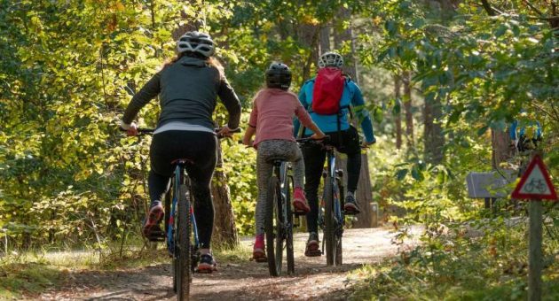 Zwischen Geschichte und Natur